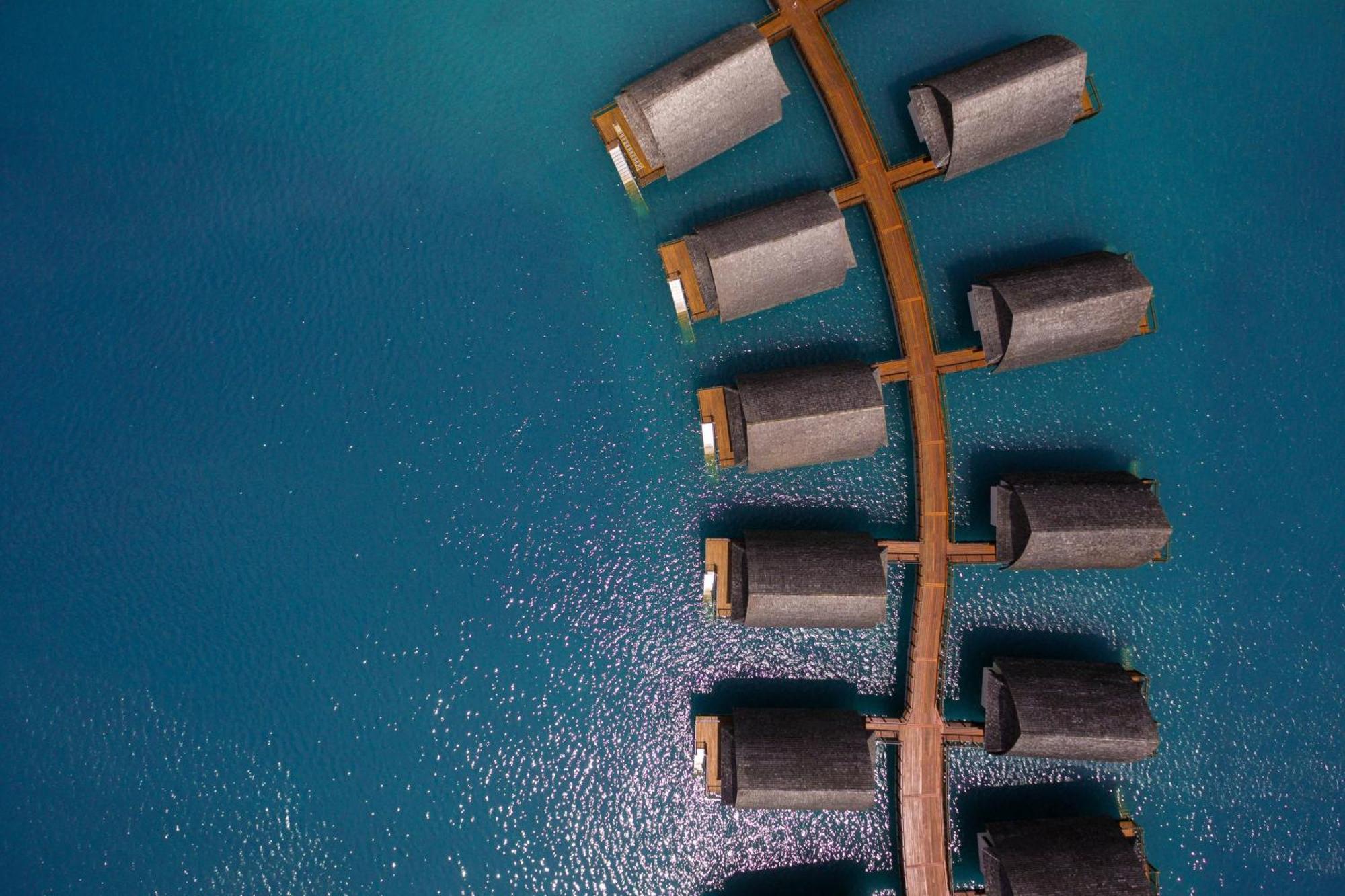 Fiji Marriott Resort Momi Bay Kültér fotó A tree of 1000000000000000000000000000000000000000000000000000000000000000000000000000000000000000000000000000000000000000000000000000000000000000000000000000000000000000000000000000000000000000000000000000